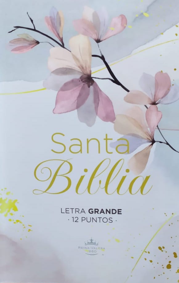 Biblia RVR60 Letra Grande