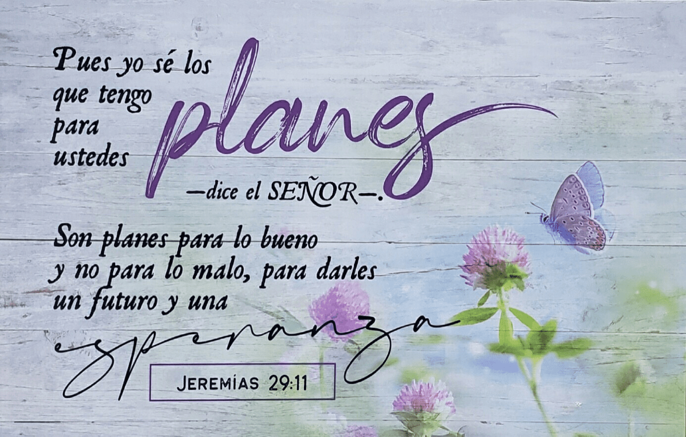 Cuadro Canvas - Planes
