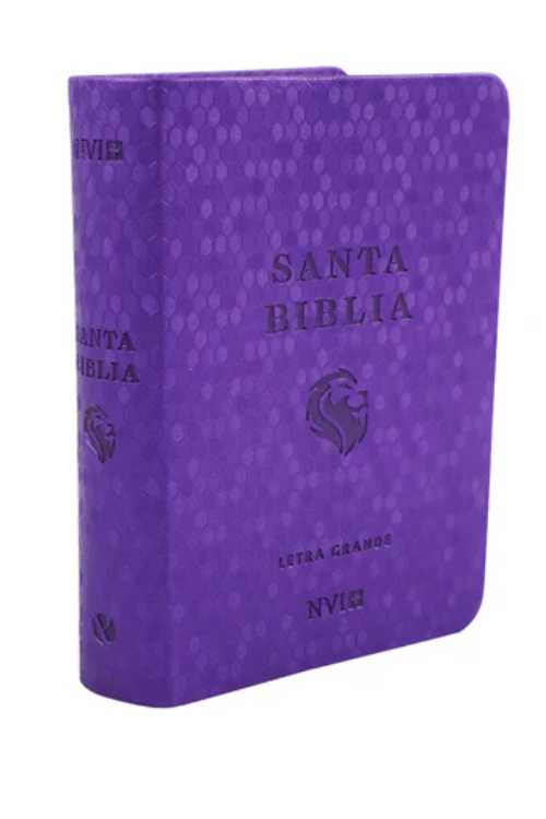 NVI Biblia Letra Grande Tamaño Bolsillo
