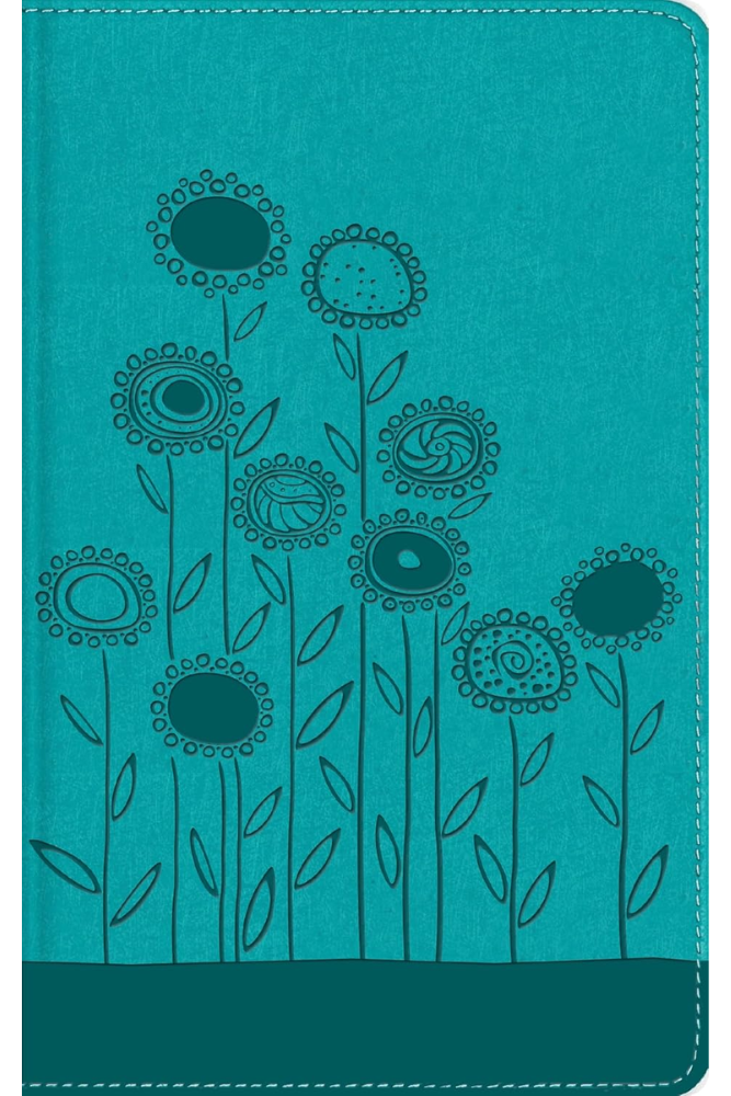 NBLA Biblia Visual de Estudio para niños