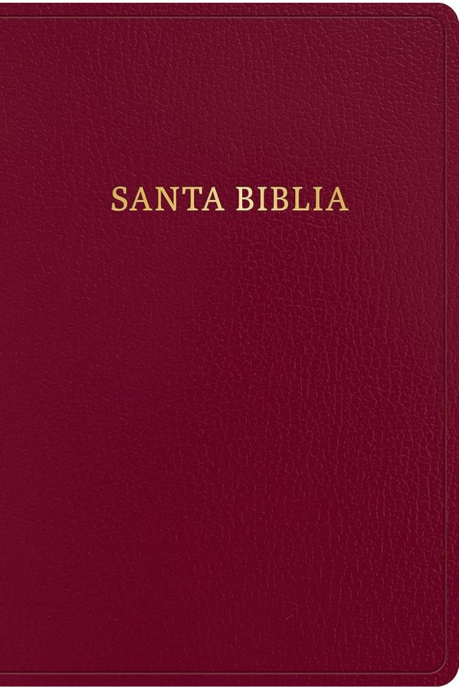 RVR 1960 Biblia Letra Gigante