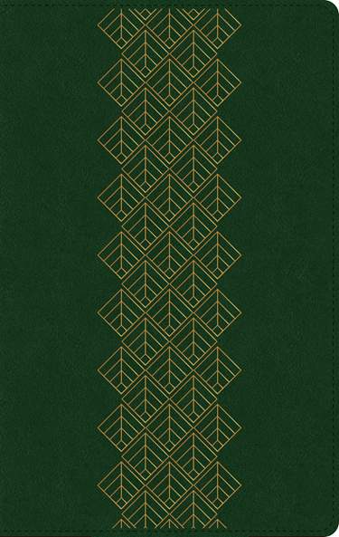NTV Biblia Ultrafina Filament