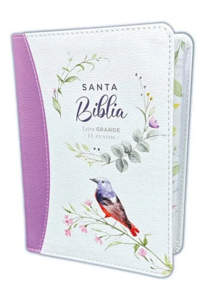 RVR60 Biblia Tamaño Manual Letra Grande con Canto Pintado