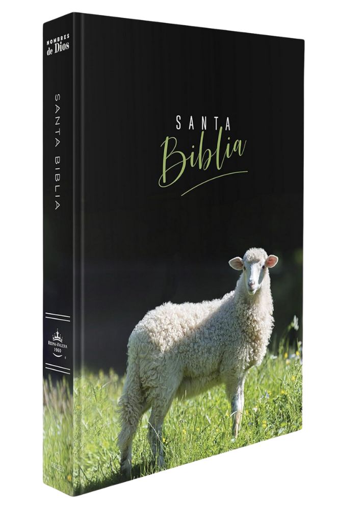 RVR60 Biblia Tamaño Manual Letra Grande