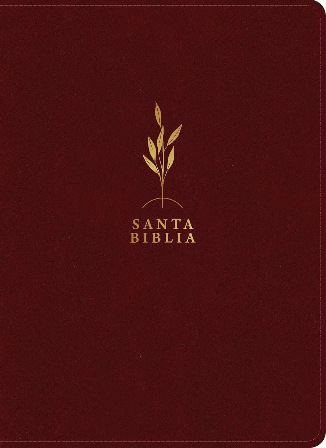 RVR60 Biblia de Estudio Diario Vivir Letra Grande