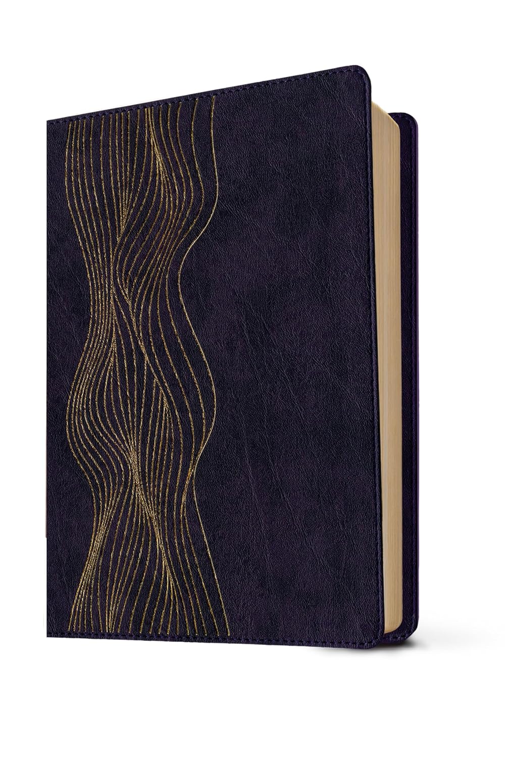 RVR60 Biblia de Estudio Diario Vivir
