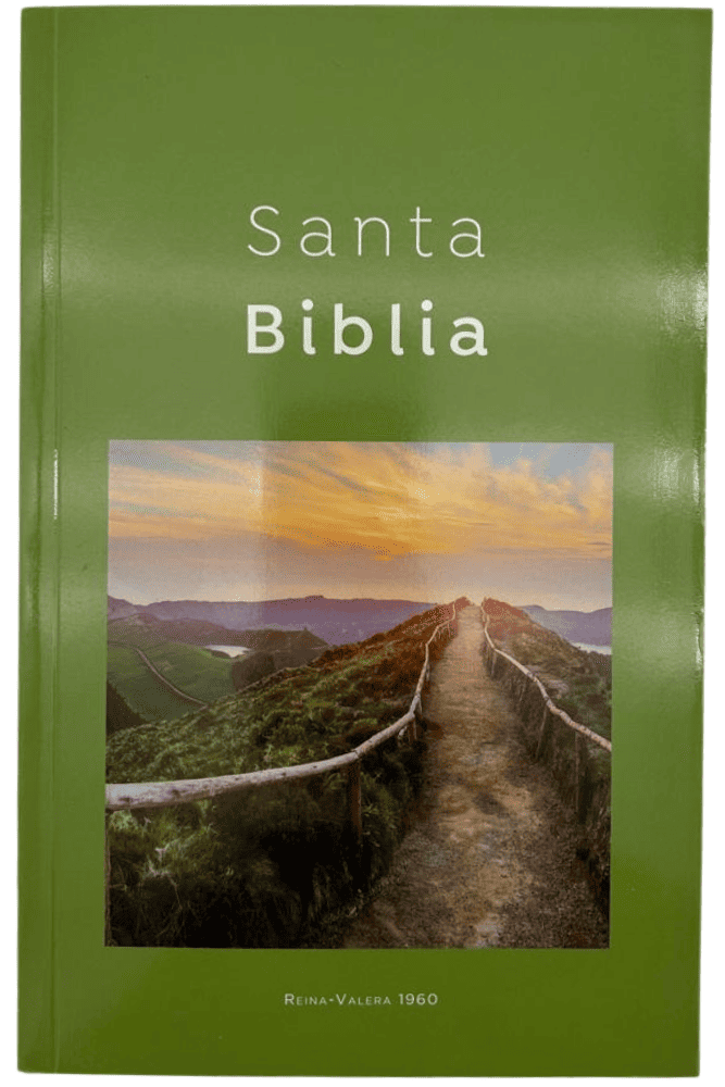RVR60 Biblia Económica Tamaño Manual - Verde Camino