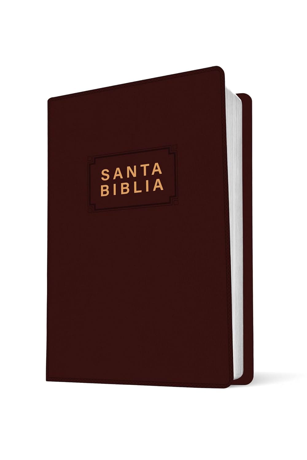 NTV Biblia Edición Premio Y Regalo