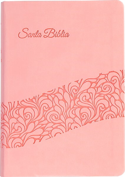 Biblia para Regalos y Premios RVR60