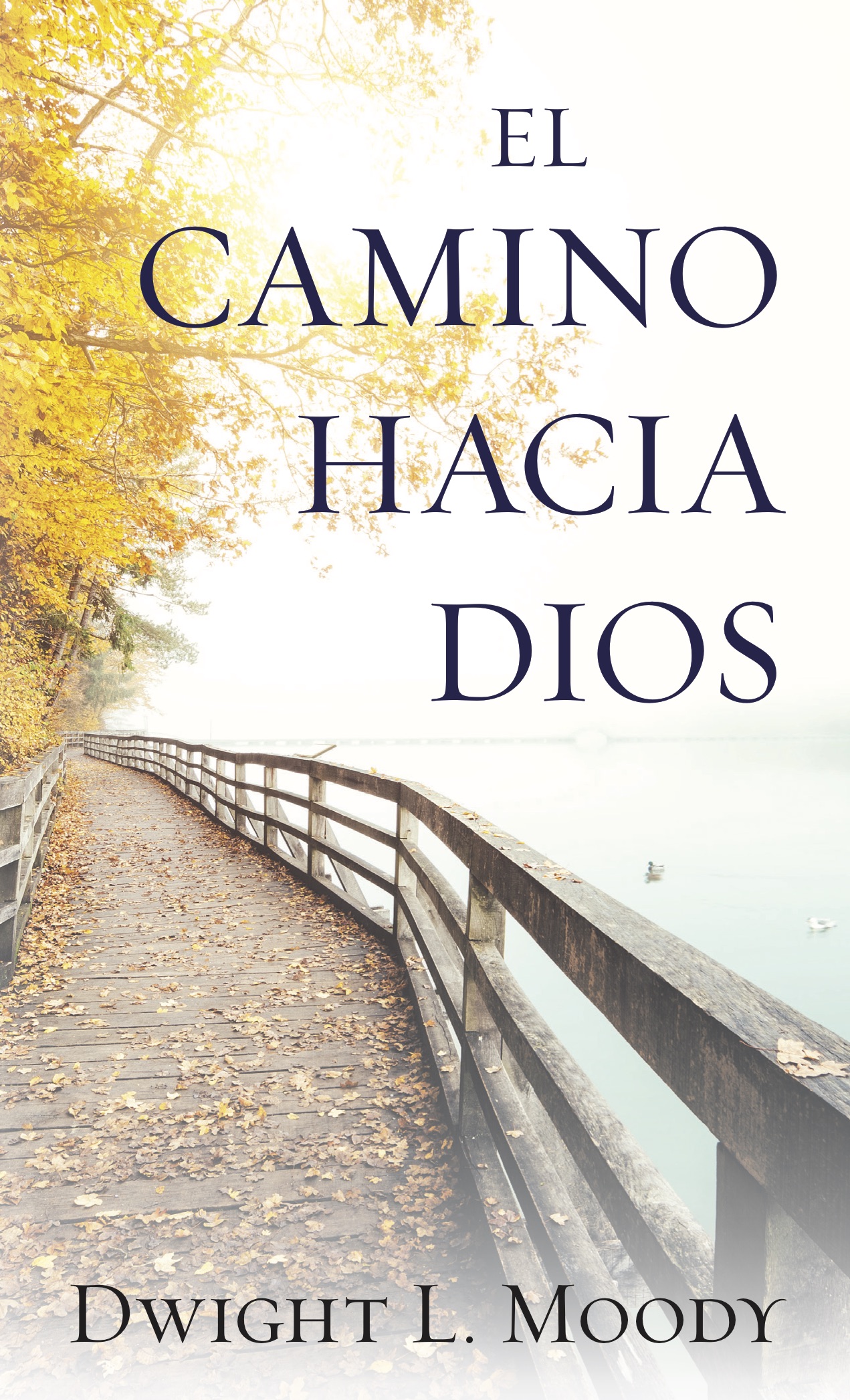 CAMINO HACIA DIOS BOLSILLO