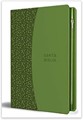 Biblia Reina Valera 1960 letra grande. Símil piel verde con cremallera